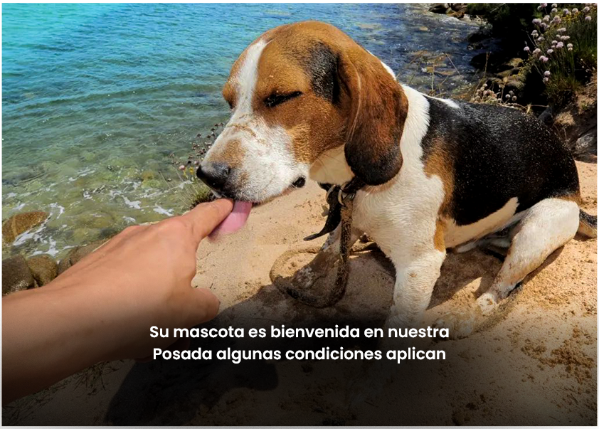 SLIDE 06