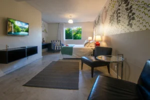 Suíte Luxo com cama de casal, poltrona e janela para o verde